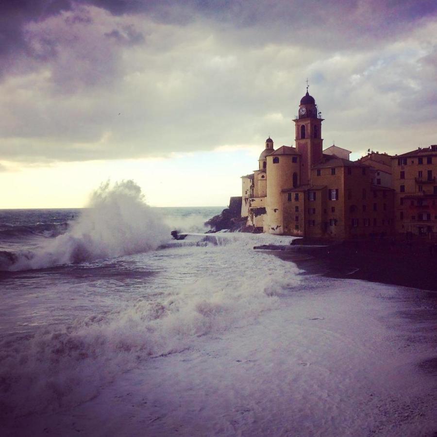 La Casa Della Fiore Camogli Exterior foto